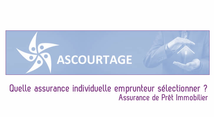 Assurance individuelle emprunteur