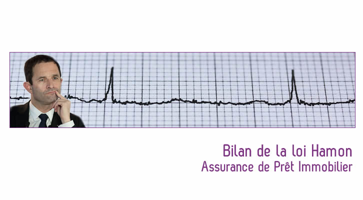 Bilan de la loi Hamon